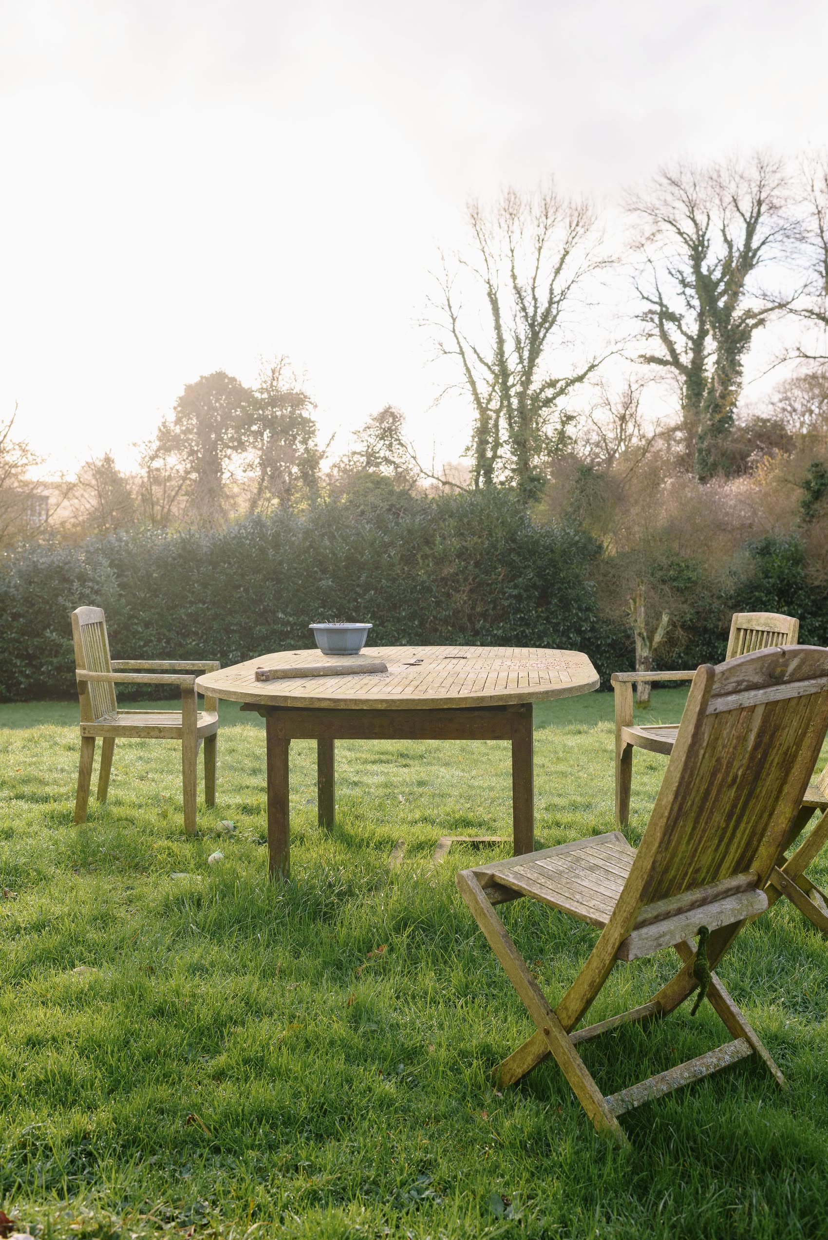 A lush, healthy lawn framed by a well-kept garden